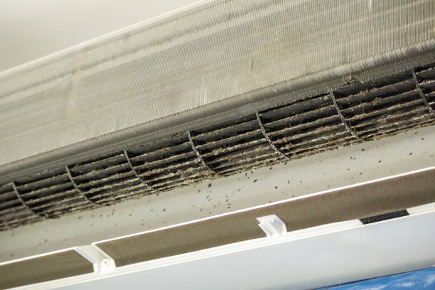 Best HVAC Air Duct Cleaning  in Citrus, CA